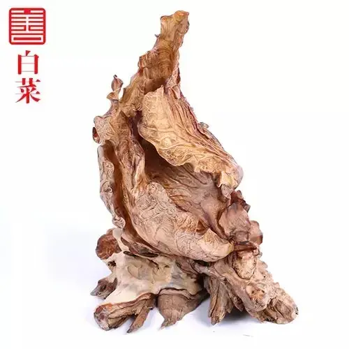 盆景知识 | 崖柏盆景及其价值