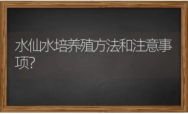 水仙水培养殖方法和注意事项？ | 绿植常识