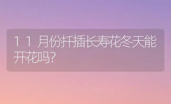 11月份扦插长寿花冬天能开花吗？ | 多肉养殖