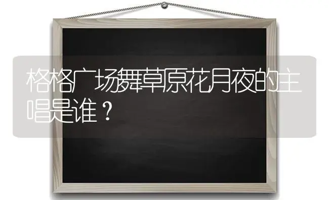 格格广场舞草原花月夜的主唱是谁？ | 多肉养殖