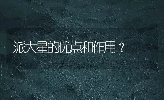 派大星的优点和作用？ | 多肉养殖