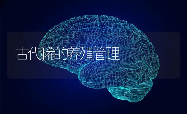 古代稀的养殖管理 | 特种种植