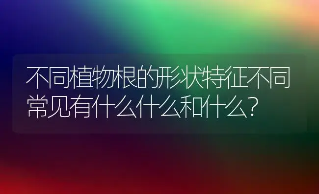 不同植物根的形状特征不同常见有什么什么和什么？ | 绿植常识