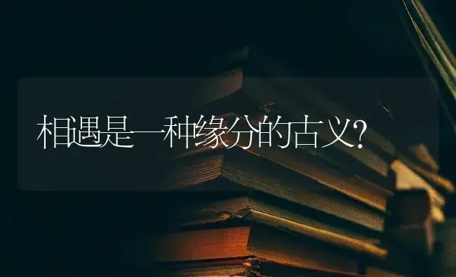 相遇是一种缘分的古义？ | 多肉养殖