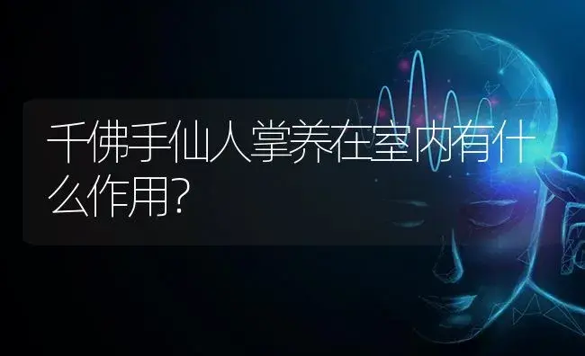 千佛手仙人掌养在室内有什么作用？ | 多肉养殖