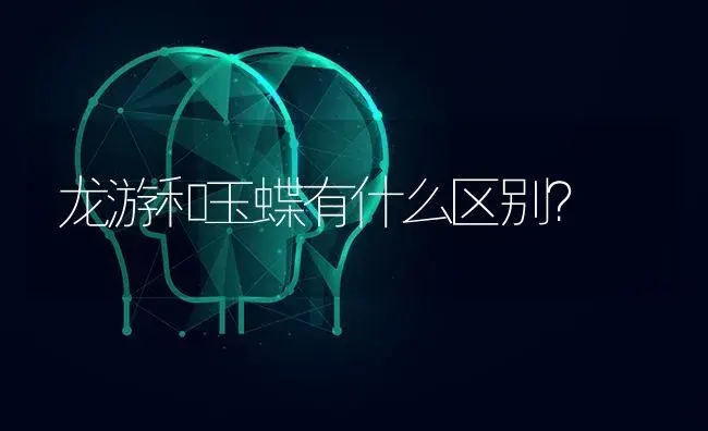 龙游和玉蝶有什么区别？ | 多肉养殖