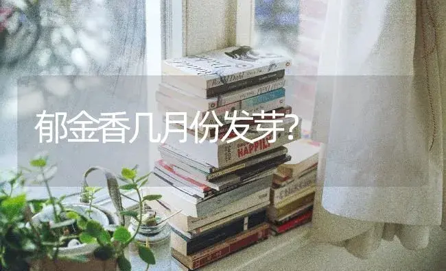 不同颜色的玫瑰的名字？ | 绿植常识