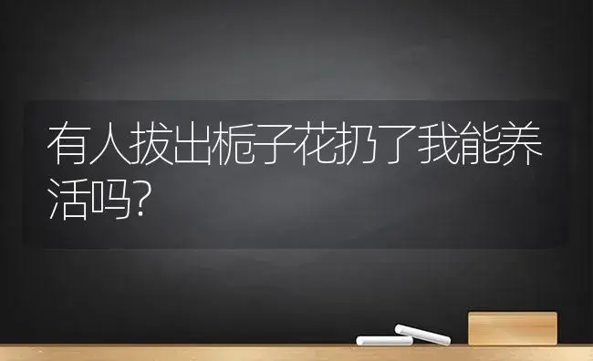 有人拔出栀子花扔了我能养活吗？ | 绿植常识