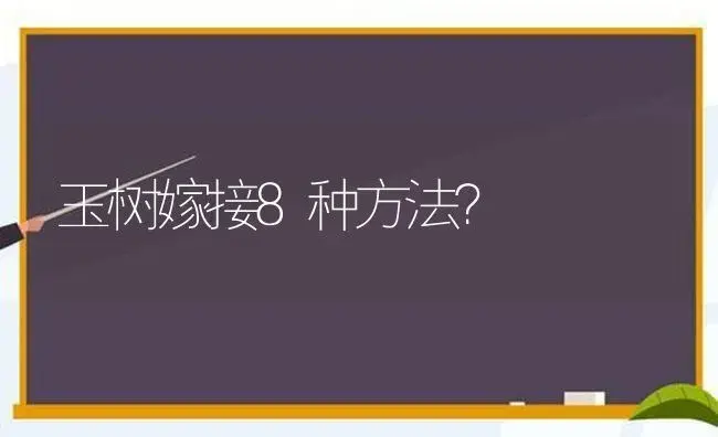 玉树嫁接8种方法？ | 多肉养殖