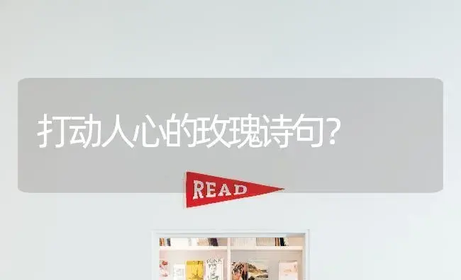 打动人心的玫瑰诗句？ | 绿植常识