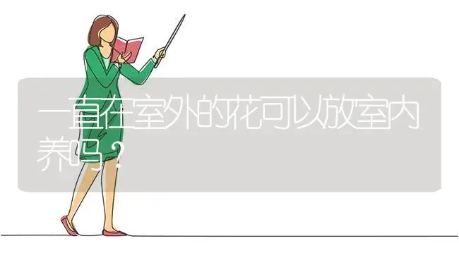 一直在室外的花可以放室内养吗？ | 绿植常识