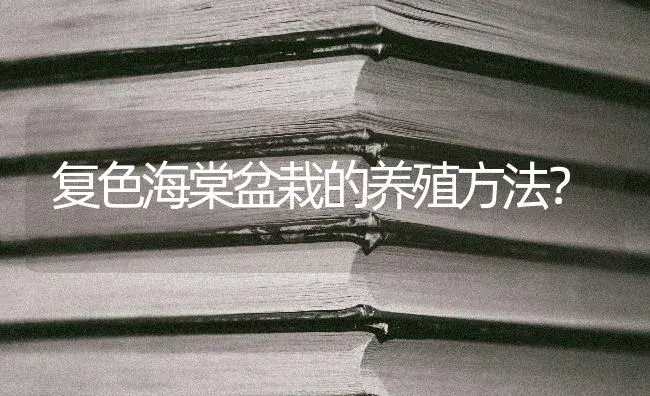 复色海棠盆栽的养殖方法？ | 绿植常识