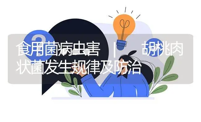 胡桃肉状菌发生规律及防治 | 菌菇种植