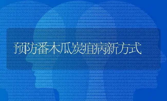 预防番木瓜炭疽病新方式 | 特种种植