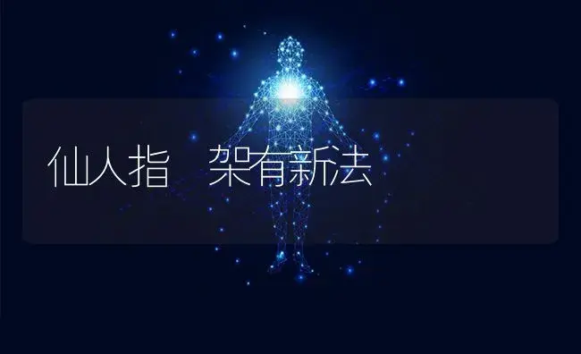 仙人指撘架有新法 | 特种种植