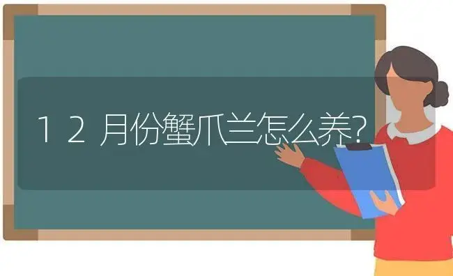 12月份蟹爪兰怎么养？ | 多肉养殖