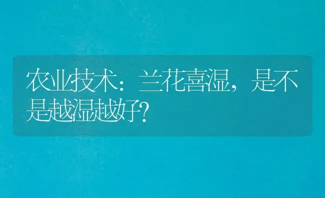 农业技术:兰花喜湿，是不是越湿越好？ | 家庭养花