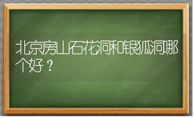 北京房山石花洞和银狐洞哪个好？ | 多肉养殖