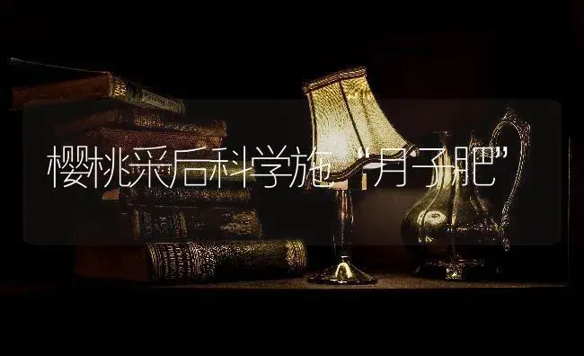 樱桃采后科学施“月子肥” | 果木种植