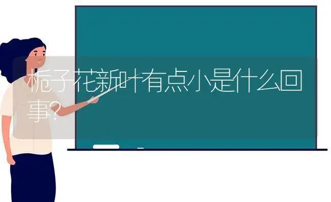 栀子花新叶有点小是什么回事？ | 绿植常识