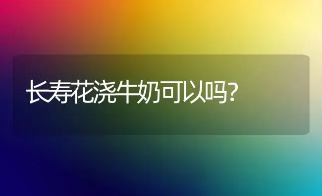 长寿花浇牛奶可以吗？ | 多肉养殖