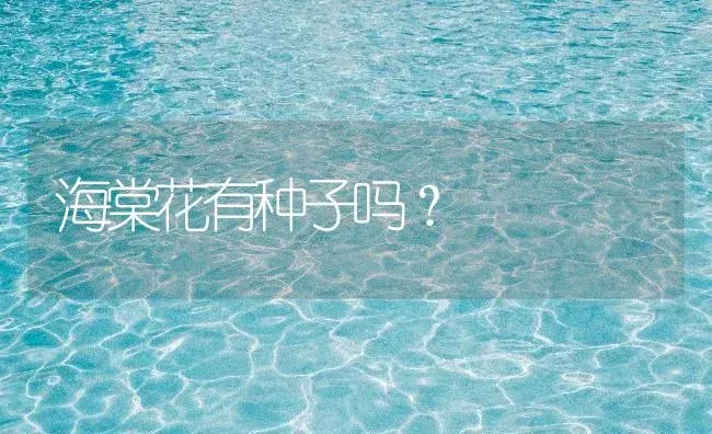 海棠花有种子吗？ | 绿植常识