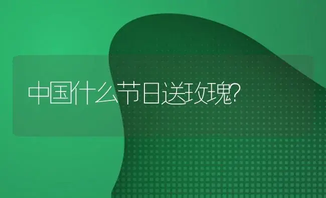 中国什么节日送玫瑰？ | 绿植常识