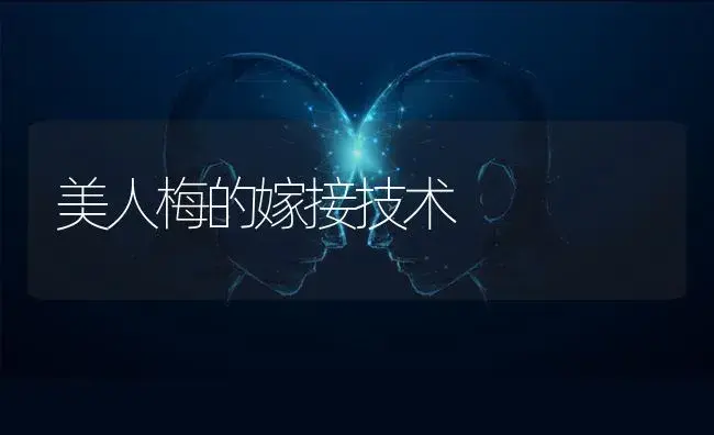 美人梅的嫁接技术 | 特种种植