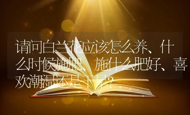 请问白兰花应该怎么养、什么时候施肥、施什么肥好、喜欢潮湿还是干旱？ | 绿植常识