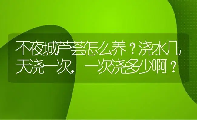 不夜城芦荟怎么养？浇水几天浇一次,一次浇多少啊？ | 多肉养殖