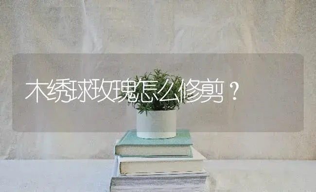 木绣球玫瑰怎么修剪？ | 绿植常识