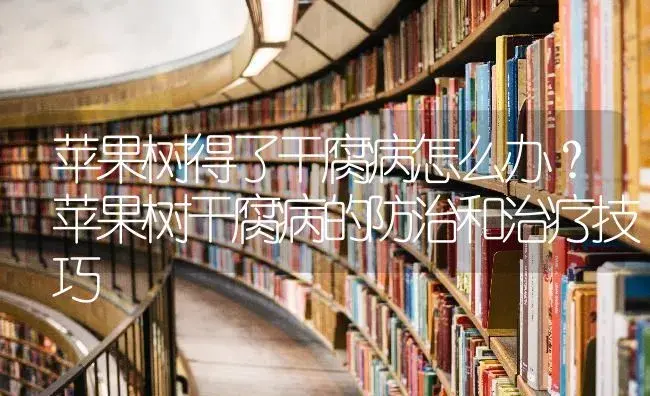 苹果树得了干腐病怎么办？苹果树干腐病的防治和治疗技巧 | 果木种植