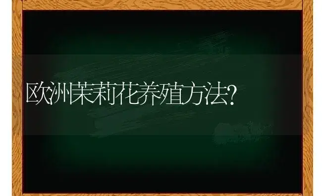 欧洲茉莉花养殖方法？ | 绿植常识