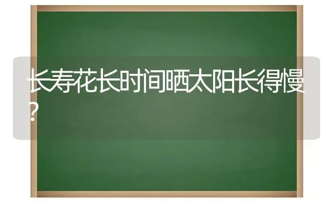 长寿花长时间晒太阳长得慢？ | 多肉养殖