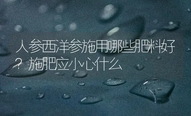 人参西洋参施用哪些肥料好？施肥应小心什么 | 药材种植