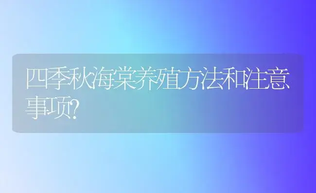 四季秋海棠养殖方法和注意事项？ | 绿植常识