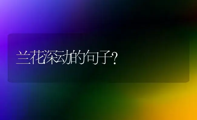 兰花深动的句子？ | 绿植常识