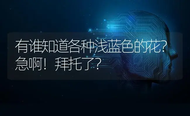 有谁知道各种浅蓝色的花？急啊！拜托了？ | 绿植常识