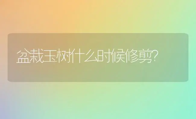 盆栽玉树什么时候修剪？ | 多肉养殖