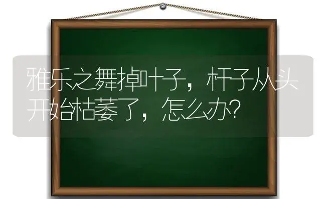 雅乐之舞掉叶子,杆子从头开始枯萎了,怎么办？ | 多肉养殖