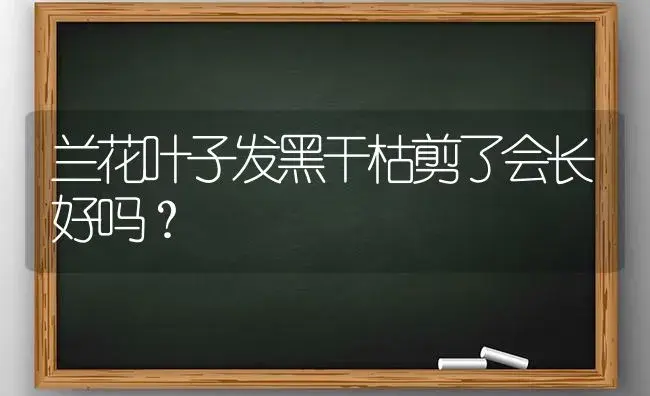 兰花叶子发黑干枯剪了会长好吗？ | 绿植常识