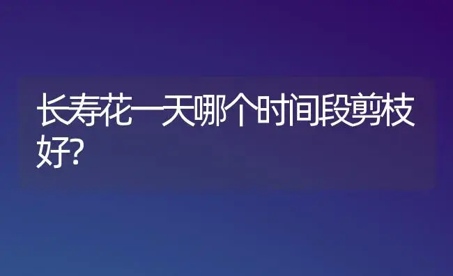 长寿花一天哪个时间段剪枝好？ | 多肉养殖