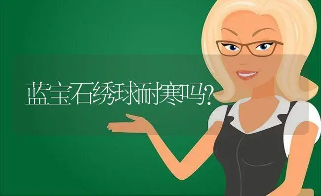 蓝宝石绣球耐寒吗？ | 绿植常识