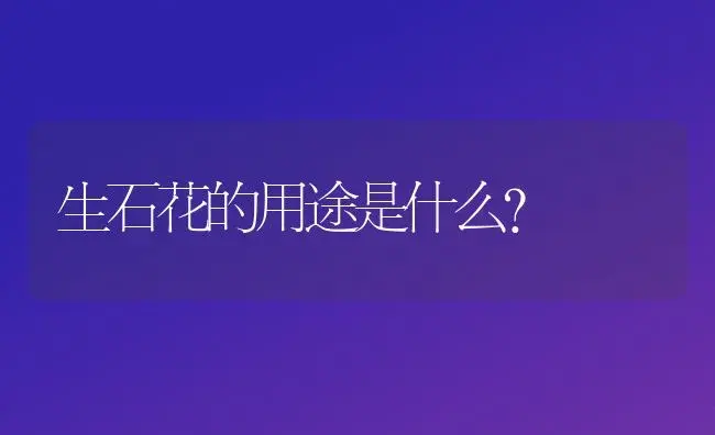 生石花的用途是什么？ | 多肉养殖