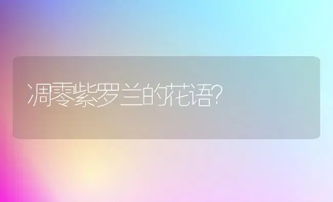 凋零紫罗兰的花语？ | 绿植常识