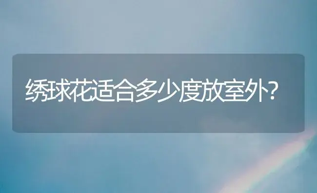 绣球花适合多少度放室外？ | 绿植常识