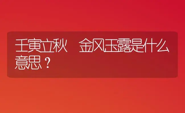 壬寅立秋 金风玉露是什么意思？ | 多肉养殖