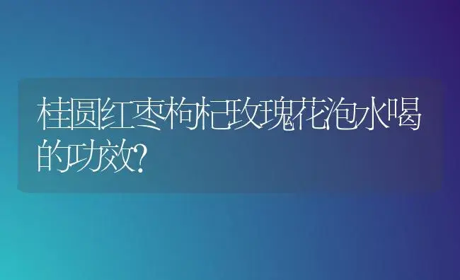 桂圆红枣枸杞玫瑰花泡水喝的功效？ | 绿植常识