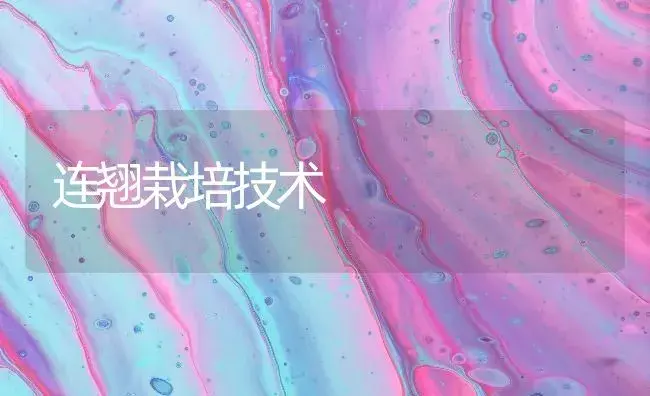 连翘栽培技术 | 药材种植