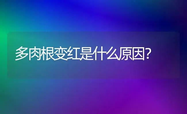 多肉根变红是什么原因？ | 多肉养殖